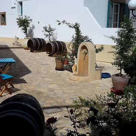 Filoxenia Apartament