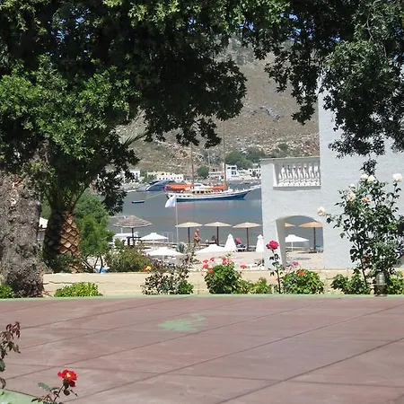 Filoxenia Apartament